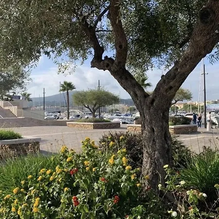 Apartment : Lumineux 2 Pieces Avec Parking Dans Calme - Fr-1-226-536 Sainte-Maxime